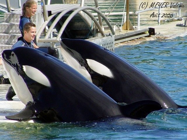 Inouk (left) and Wiki