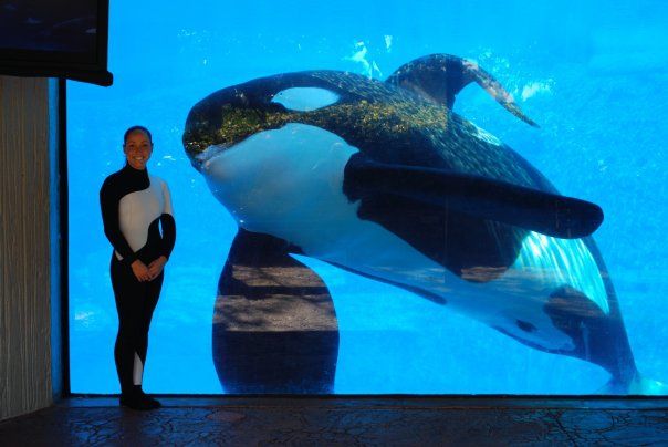 The Disturbing Reality Intriguing Tilikum The Orca Facts Controversy Unveiled This Will Shock You - w7l0ehf