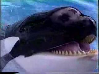 screencap from movie Jaws 3