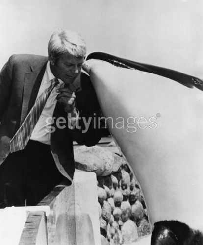 Shamu with actor Peter Graves from <i>Mission Impossible</i>